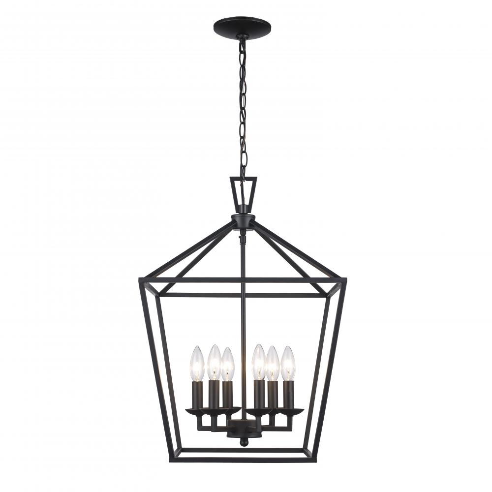 6LT PENDANT-BIRD CAGE-BK
